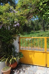 Yellow gate